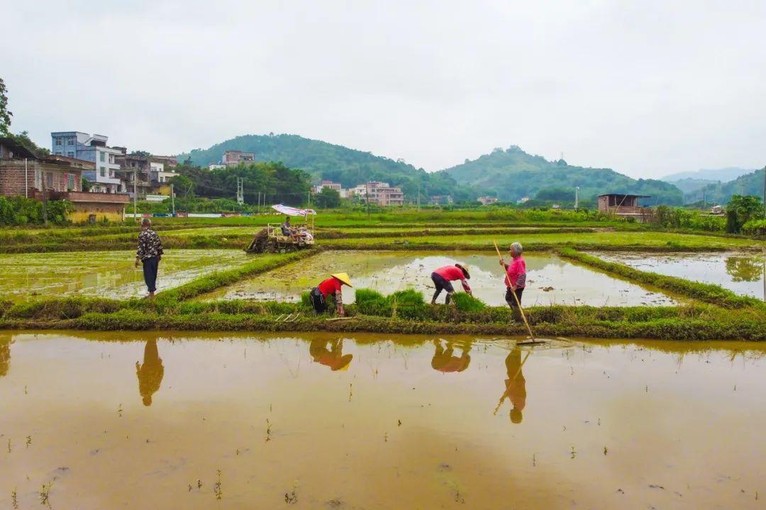 广东省农忙假放假制度研究