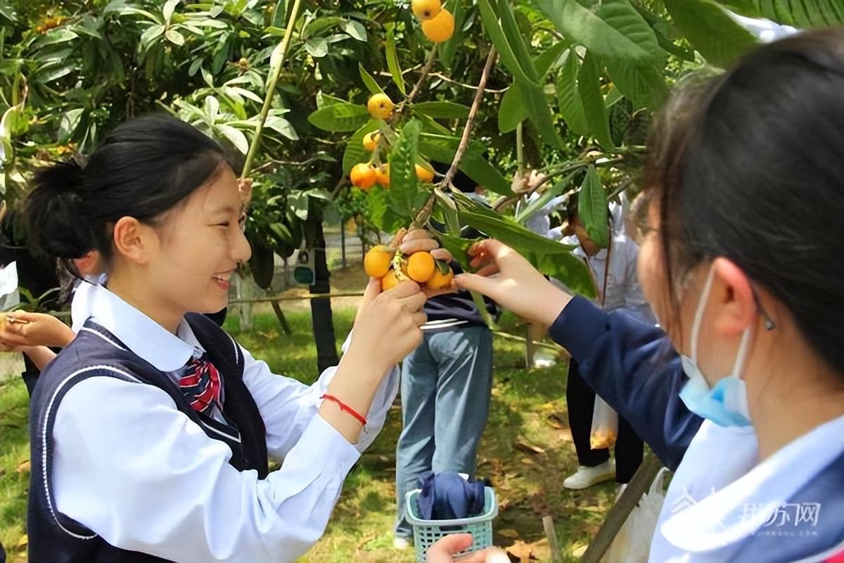 江苏科技大学果树，探索知识与自然的融合之美